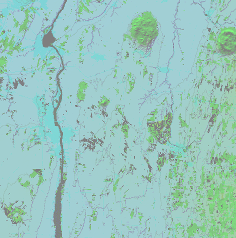 Terrain Topology