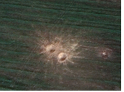 Disturbed Land Analysis